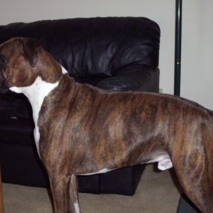 my big boy