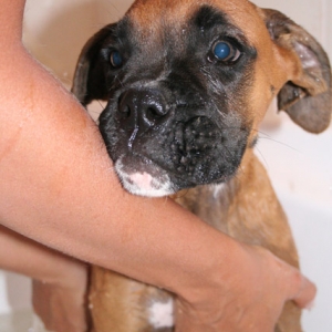 Odies first bath