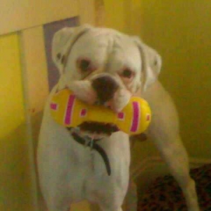 This is my favourite ever toy