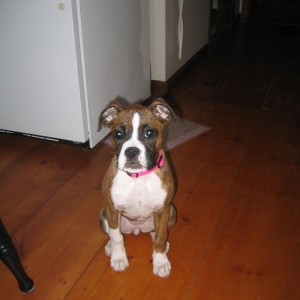 my baby girl