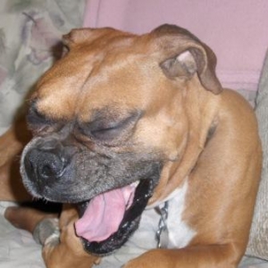 Everyone's A Comedian...