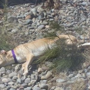 Sunny Day in March - Finally!