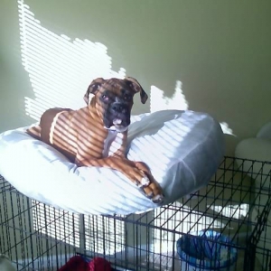 It's my bed, isn't it?