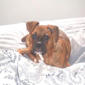 Haning out in bed =)