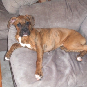 I used to fit on this couch!!!