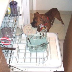 Helping w/ the dishes