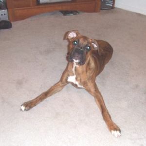 I'm All Legs!!!