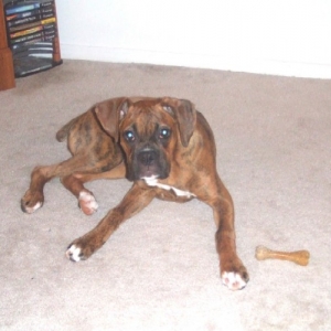 Kaybie 5 months old