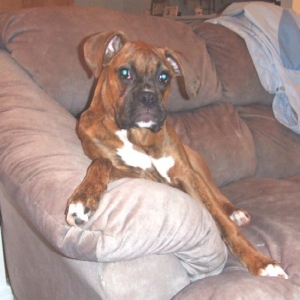 Just Chillin'