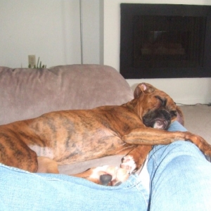 Sleeping on Mommy's Legs