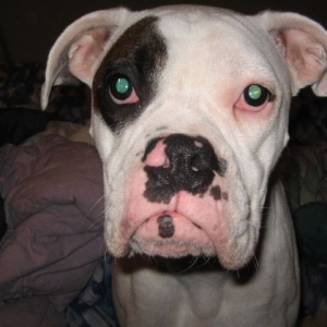 I'm ready for my close-up!