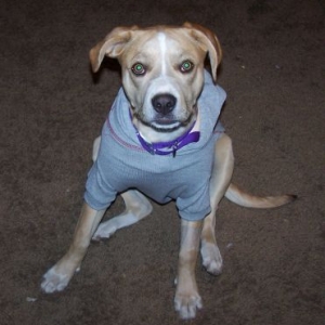 Emma in her new hoodie