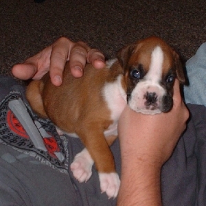 Kya at 4 Weeks
