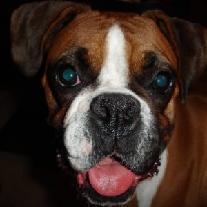 Kya at 2.5 years old