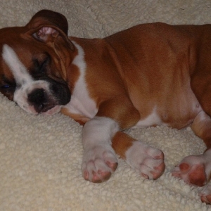 Kya Sacked OUT!