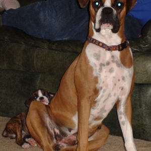 New Best Friend and SISTER