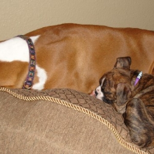 Sleeping Soundly