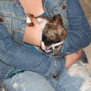 Tiva all snuggled in
