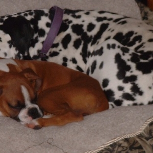 Kya and Tasha
