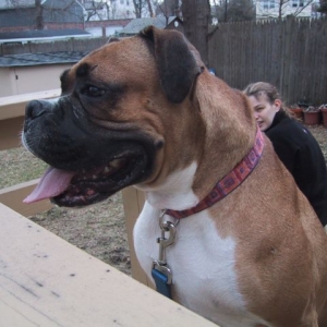 What's beyond that fence?