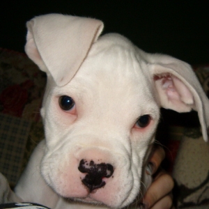 How cute am I ???