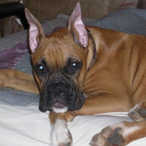 Bach holding STILL for a pic!!