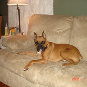 Bailey