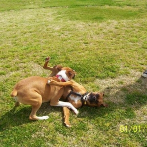 Jackie and Gracie 2