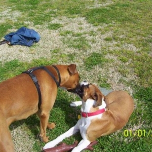 Jackie and Gracie 3