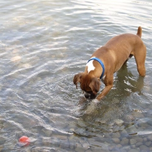 R.J. Fishing.
