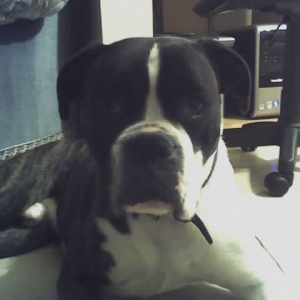 tyson1