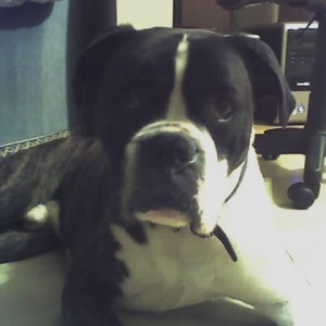 tyson2