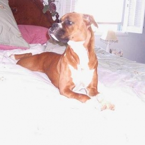 sitting proud