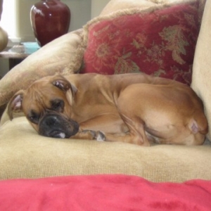 my first day home...I need to gain some weight!