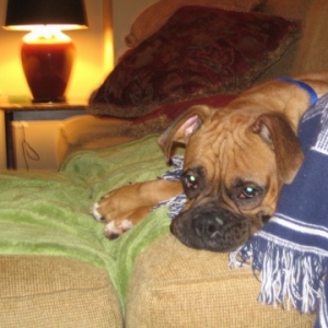 my favorite spot!