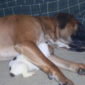 Father and son...Tyson loves his Baby Tank