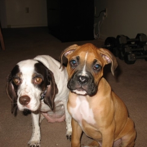 Picture_0181