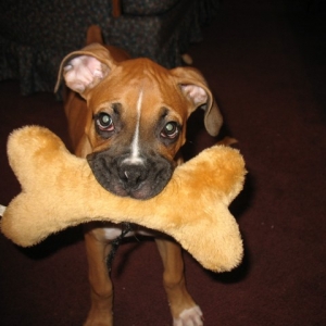 Picture_0742