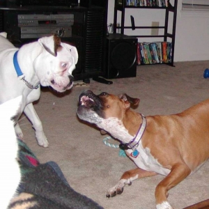 Playing
