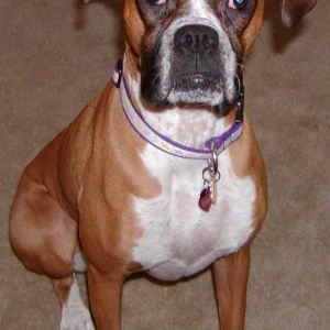 Pretty Roxy Daisy!