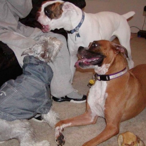 Playing.