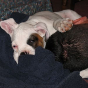 Picture_075