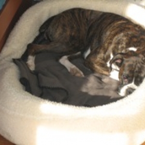 Napping