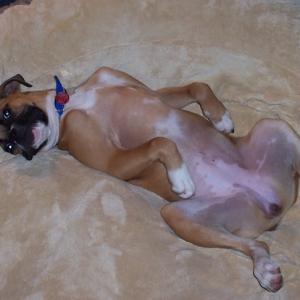 Hard Day at Work