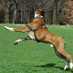 Missed!