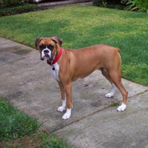 Samantha 9 Month's Old Today
