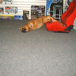 Lazy Girl!