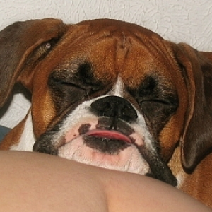 Sleeping In