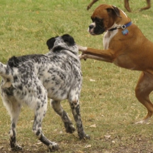 Stick And Move