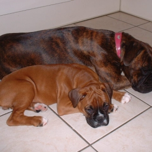 All tired out